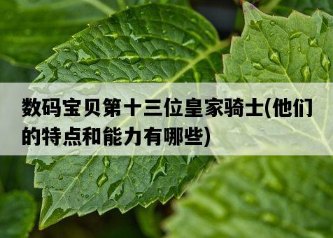 數碼寶貝第十三位皇家騎士，他們的特點和能力有哪些-圖1