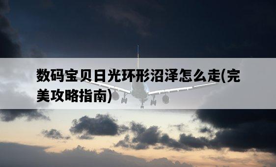 數碼寶貝日光環形沼澤怎么走，完美攻略指南-圖1