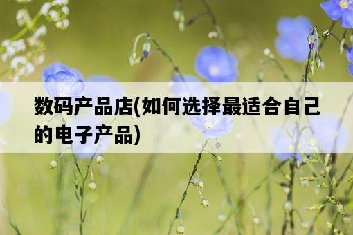 數碼產品店，如何選擇最適合自己的電子產品-圖1