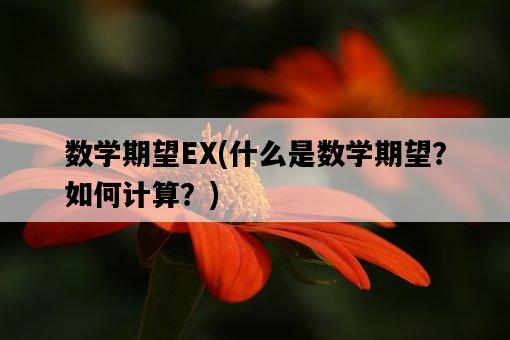 數學期望EX，什么是數學期望？如何計算？-圖1