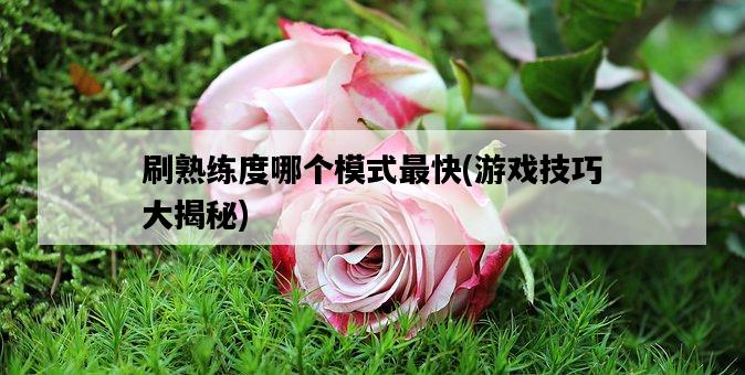 刷熟練度哪個模式最快，游戲技巧大揭秘-圖1