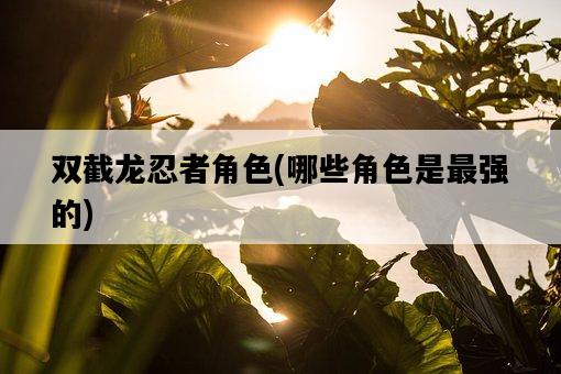 雙截龍忍者角色,哪些角色是最強的-圖1 雙截龍忍者角色,哪些角色是最強的-圖1