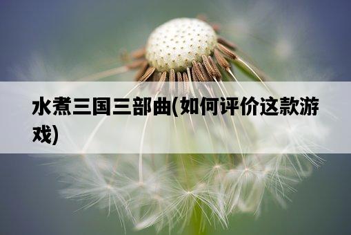 水煮三國三部曲，如何評價這款游戲-圖1