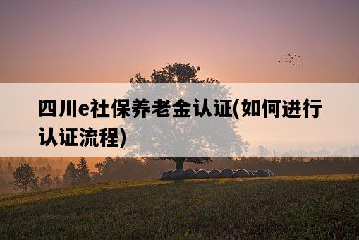 四川e社保養老金認證，如何進行認證流程-圖1