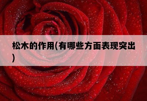 松木的作用,有哪些方面表現突出-圖1 松木的作用,有哪些方面表現突出-圖1