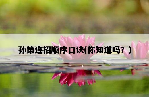 孫策連招順序口訣，你知道嗎？-圖1