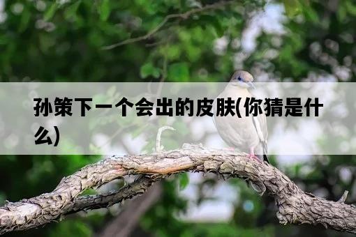 孫策下一個會出的皮膚，你猜是什么-圖1