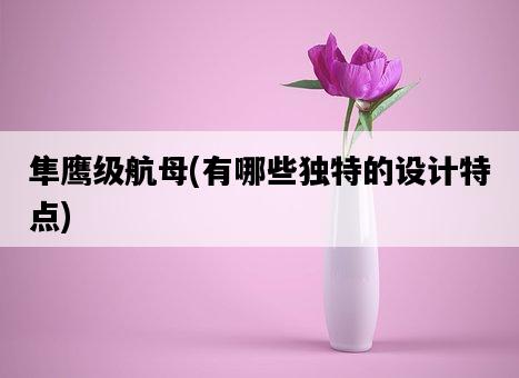 隼鷹級航母，有哪些獨特的設計特點-圖1