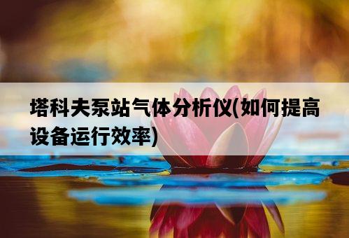 塔科夫泵站氣體分析儀，如何提高設備運行效率-圖1