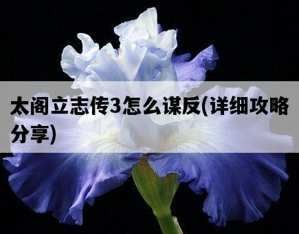 太閣立志傳3怎么謀反，詳細攻略分享-圖1