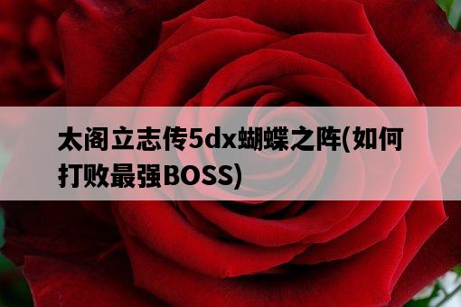 太閣立志傳5dx蝴蝶之陣，如何打敗最強BOSS-圖1