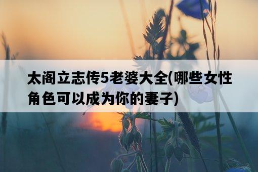 太閣立志傳5老婆大全,哪些女性角色可以成為你的妻子-圖1 太閣立志傳5老婆大全,哪些女性角色可以成為你的妻子-圖1