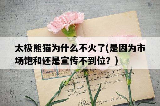 太極熊貓為什么不火了,是因為市場飽和還是宣傳不到位?-圖1 太極熊貓為什么不火了,是因為市場飽和還是宣傳不到位?-圖1