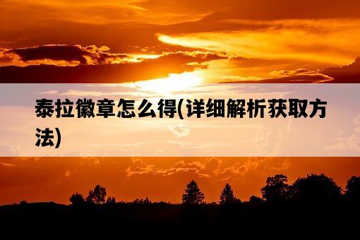 泰拉徽章怎么得，詳細解析獲取方法-圖1