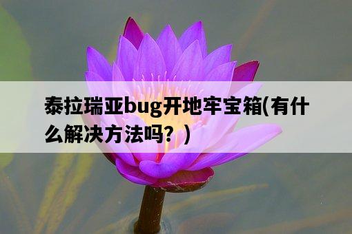 泰拉瑞亞bug開地牢寶箱，有什么解決方法嗎？-圖1