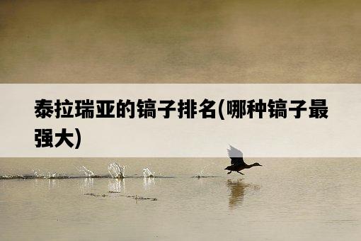 泰拉瑞亞的鎬子排名，哪種鎬子最強大-圖1