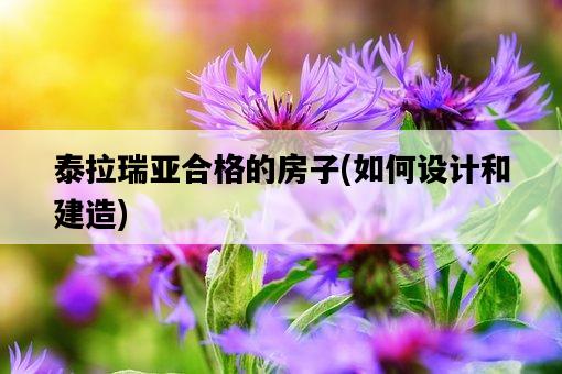 泰拉瑞亞合格的房子，如何設計和建造-圖1