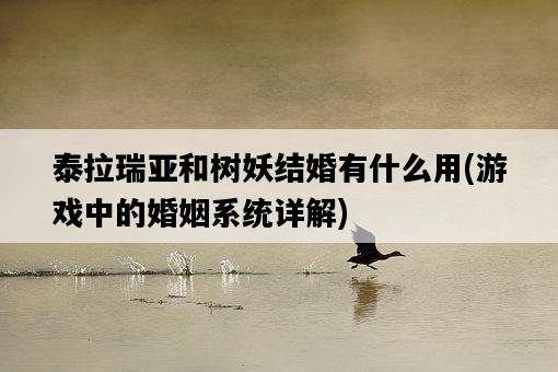 泰拉瑞亞和樹妖結婚有什么用，游戲中的婚姻系統詳解-圖1
