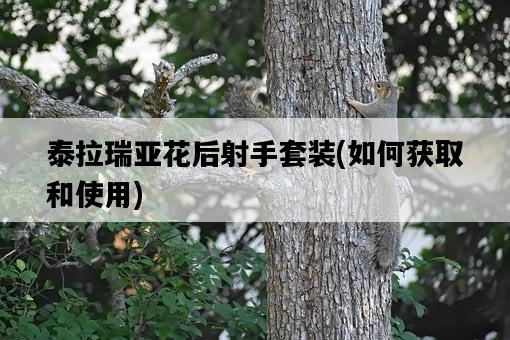 泰拉瑞亞花后射手套裝，如何獲取和使用-圖1