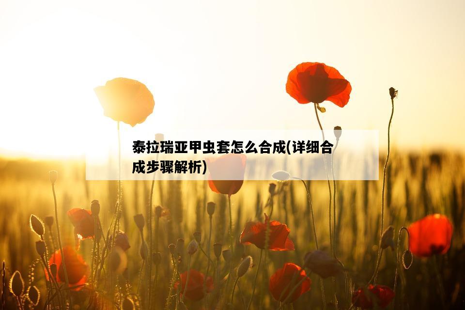 泰拉瑞亞甲蟲套怎么合成，詳細合成步驟解析-圖1