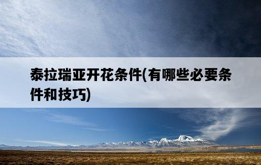 泰拉瑞亞開花條件,有哪些必要條件和技巧-圖1 泰拉瑞亞開花條件,有哪些必要條件和技巧-圖1