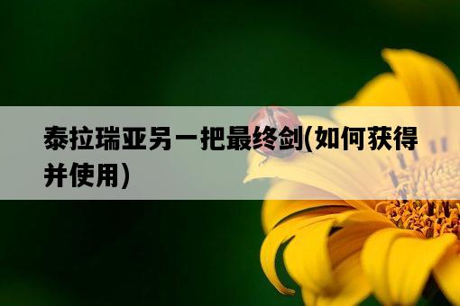 泰拉瑞亞另一把最終劍，如何獲得并使用-圖1