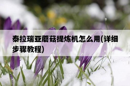 泰拉瑞亞蘑菇提煉機怎么用，詳細步驟教程-圖1