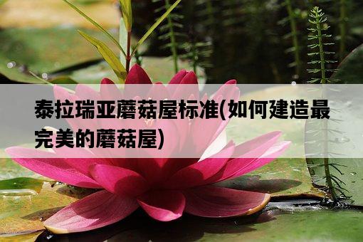 泰拉瑞亞蘑菇屋標準，如何建造最完美的蘑菇屋-圖1
