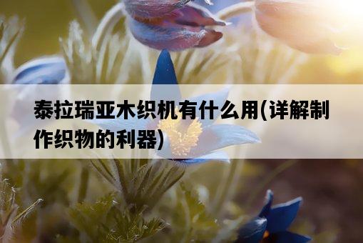 泰拉瑞亞木織機有什么用,詳解制作織物的利器-圖1 泰拉瑞亞木織機有什么用,詳解制作織物的利器-圖1