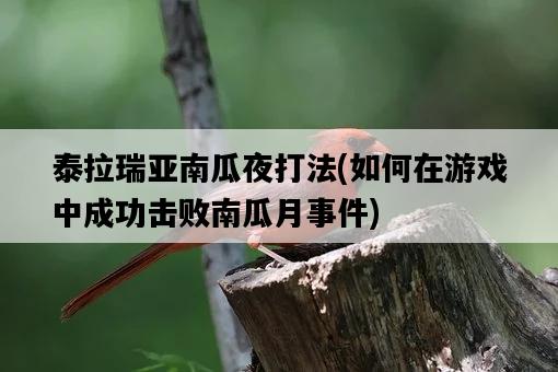 泰拉瑞亞南瓜夜打法，如何在游戲中成功擊敗南瓜月**-圖1