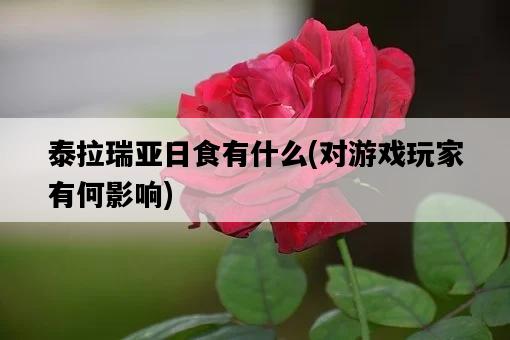 泰拉瑞亞日食有什么，對游戲玩家有何影響-圖1