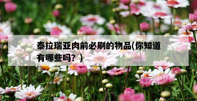 泰拉瑞亞肉前必刷的物品，你知道有哪些嗎？-圖1