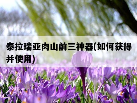 泰拉瑞亞肉山前三神器，如何獲得并使用-圖1