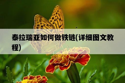 泰拉瑞亞如何做鐵鏈，詳細圖文教程-圖1