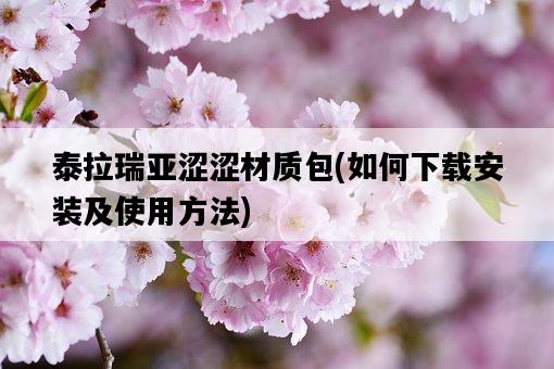 泰拉瑞亞澀澀材質包，如何下載安裝及使用方法-圖1