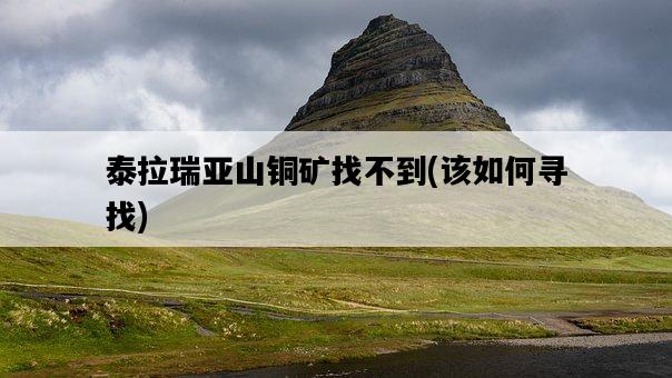 泰拉瑞亞山銅礦找不到，該如何尋找-圖1