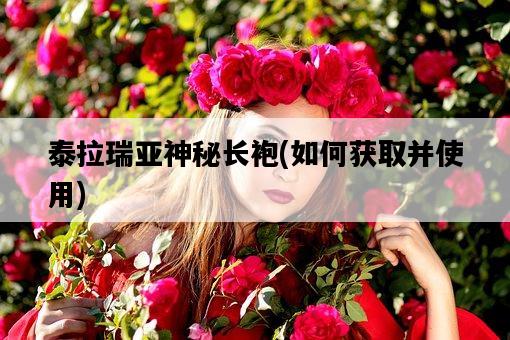 泰拉瑞亞神秘長袍，如何獲取并使用-圖1