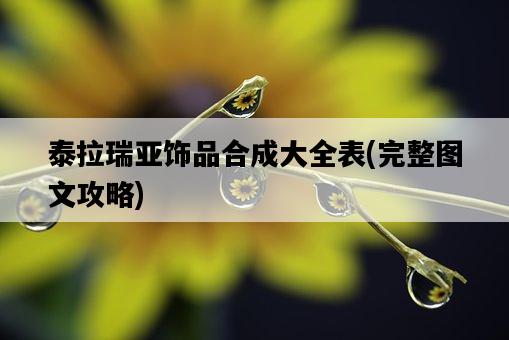 泰拉瑞亞飾品合成大全表，完整圖文攻略-圖1