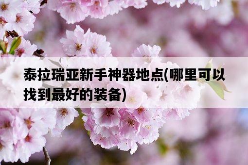 泰拉瑞亞新手神器地點，哪里可以找到最好的裝備-圖1