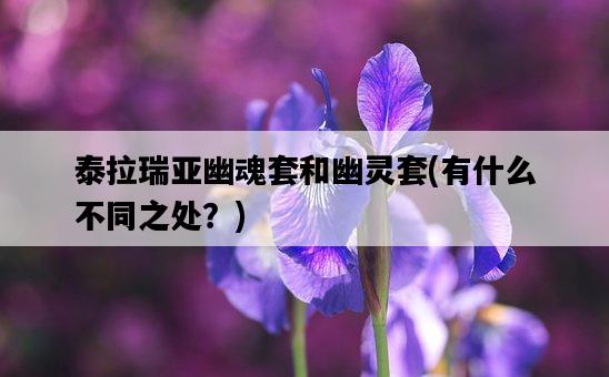 泰拉瑞亞幽魂套和幽靈套,有什么不同之處?-圖1 泰拉瑞亞幽魂套和幽靈套,有什么不同之處?-圖1