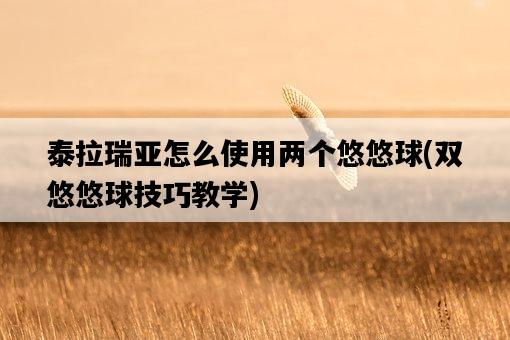 泰拉瑞亞怎么使用兩個悠悠球，雙悠悠球技巧教學-圖1