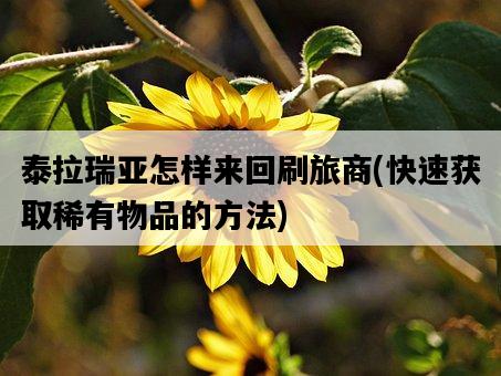 泰拉瑞亞怎樣來回刷旅商,快速獲取稀有物品的方法-圖1 泰拉瑞亞怎樣來回刷旅商,快速獲取稀有物品的方法-圖1