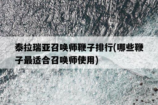 泰拉瑞亞召喚師鞭子排行，哪些鞭子最適合召喚師使用-圖1