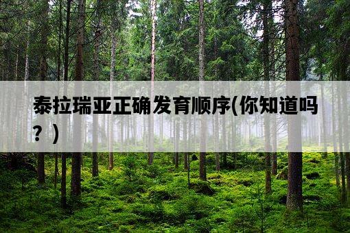 泰拉瑞亞正確發育順序，你知道嗎？-圖1