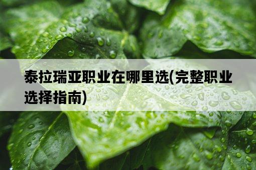 泰拉瑞亞職業在哪里選，完整職業選擇指南-圖1