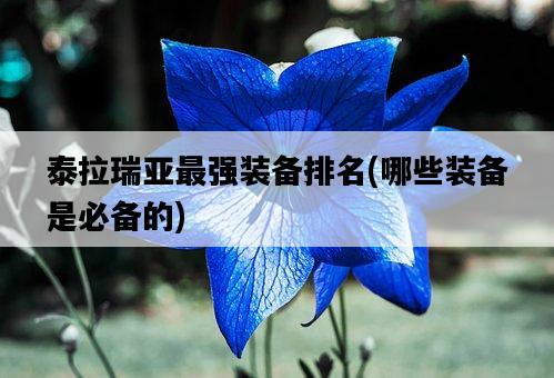 泰拉瑞亞最強裝備排名，哪些裝備是必備的-圖1