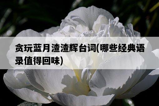 貪玩藍月渣渣輝臺詞，哪些經典語錄值得回味-圖1