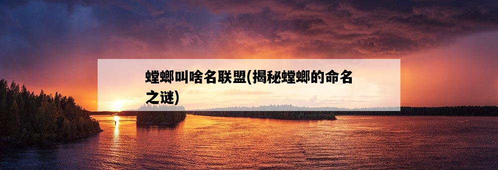螳螂叫啥名聯盟，揭秘螳螂的命名之謎-圖1