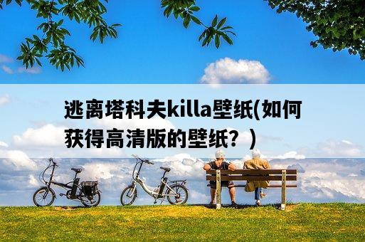 逃離塔科夫killa壁紙，如何獲得高清版的壁紙？-圖1