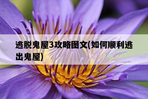 逃脫鬼屋3攻略圖文，如何順利逃出鬼屋-圖1